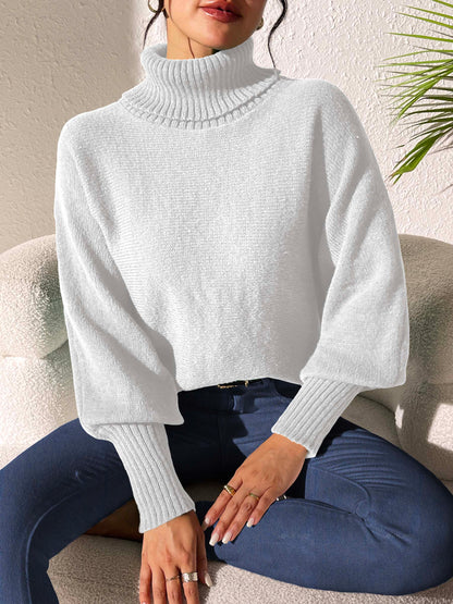 The Cozy Classic Turtleneck